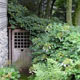 door in garden