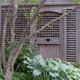 door in garden